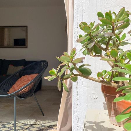 Home Chic Home - La Terrasse Bazille مونبيلييه المظهر الخارجي الصورة
