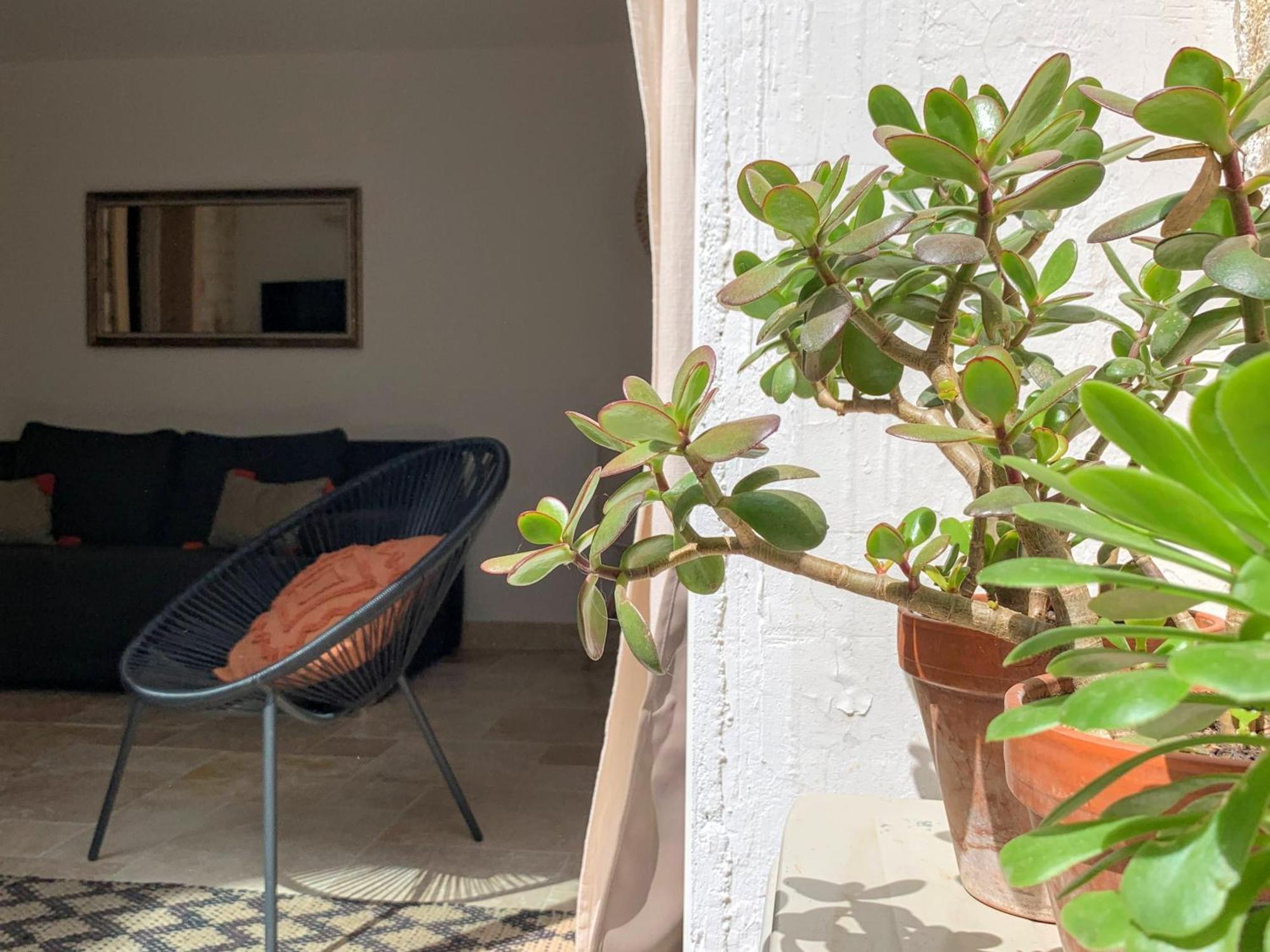 Home Chic Home - La Terrasse Bazille مونبيلييه المظهر الخارجي الصورة